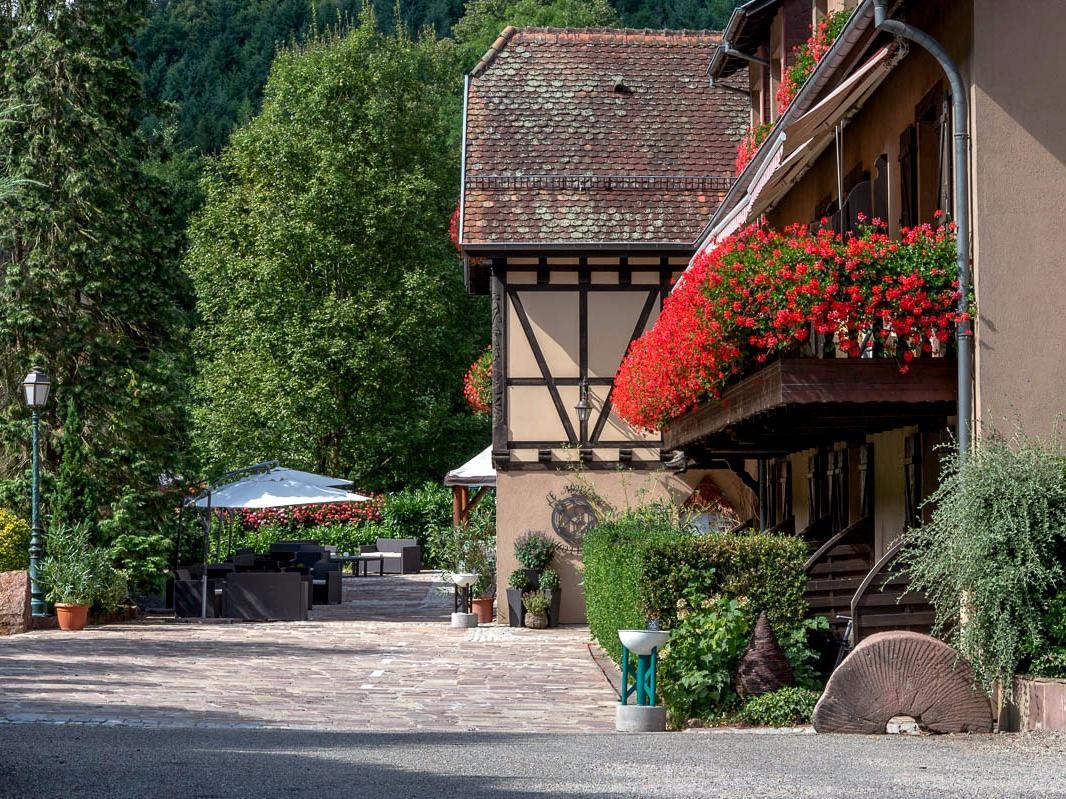 Domaine Le Moulin Otel Ottrott Dış mekan fotoğraf