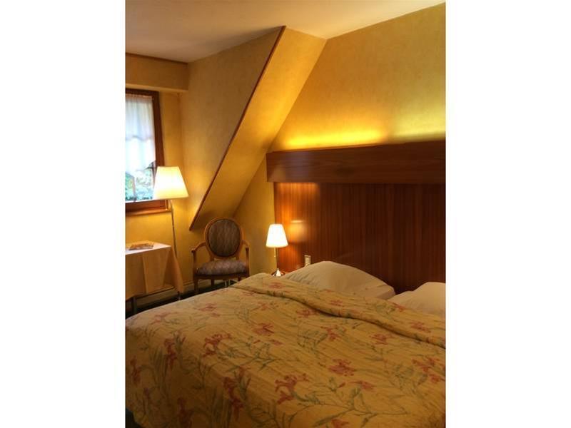 Domaine Le Moulin Otel Ottrott Dış mekan fotoğraf